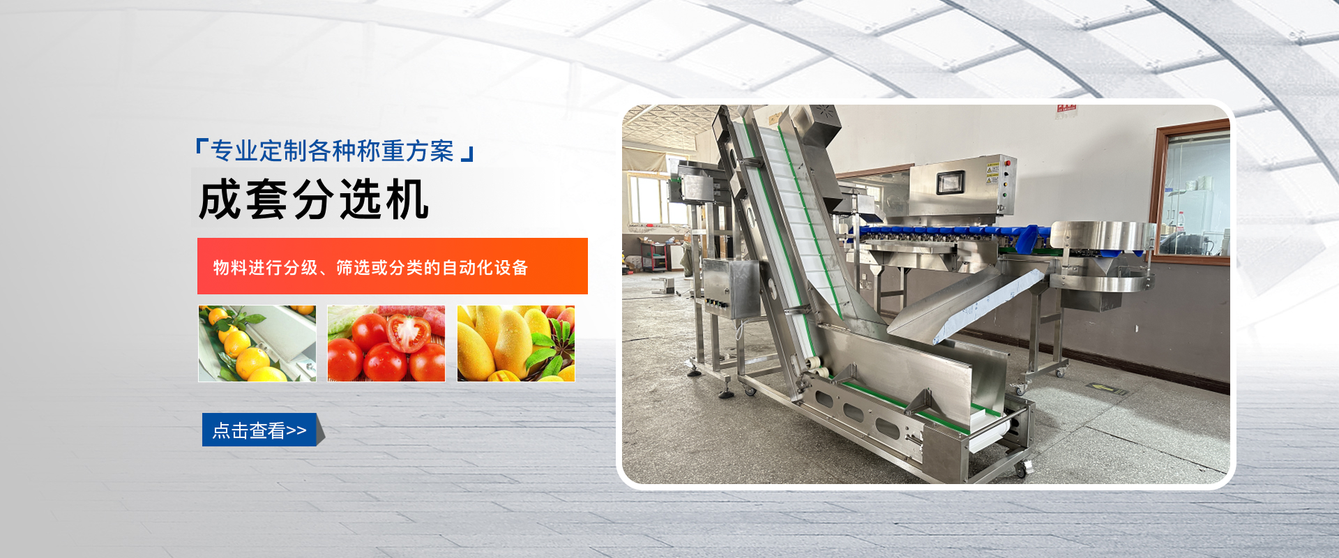 成套分选机