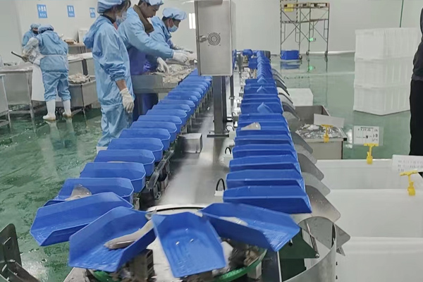 分选机初次运行怎样调试？