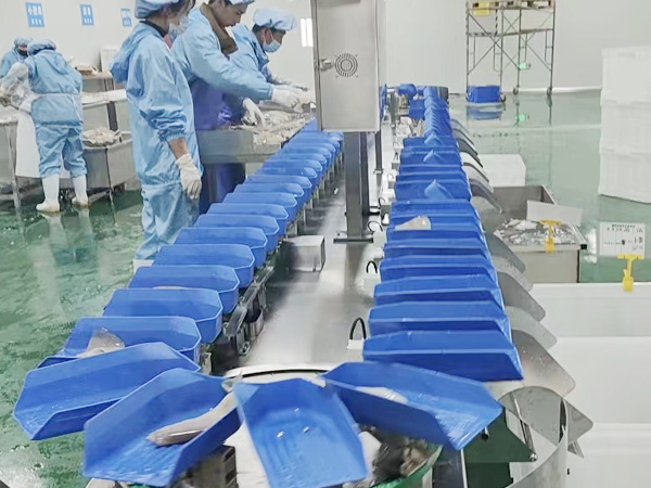 重量分选机现场